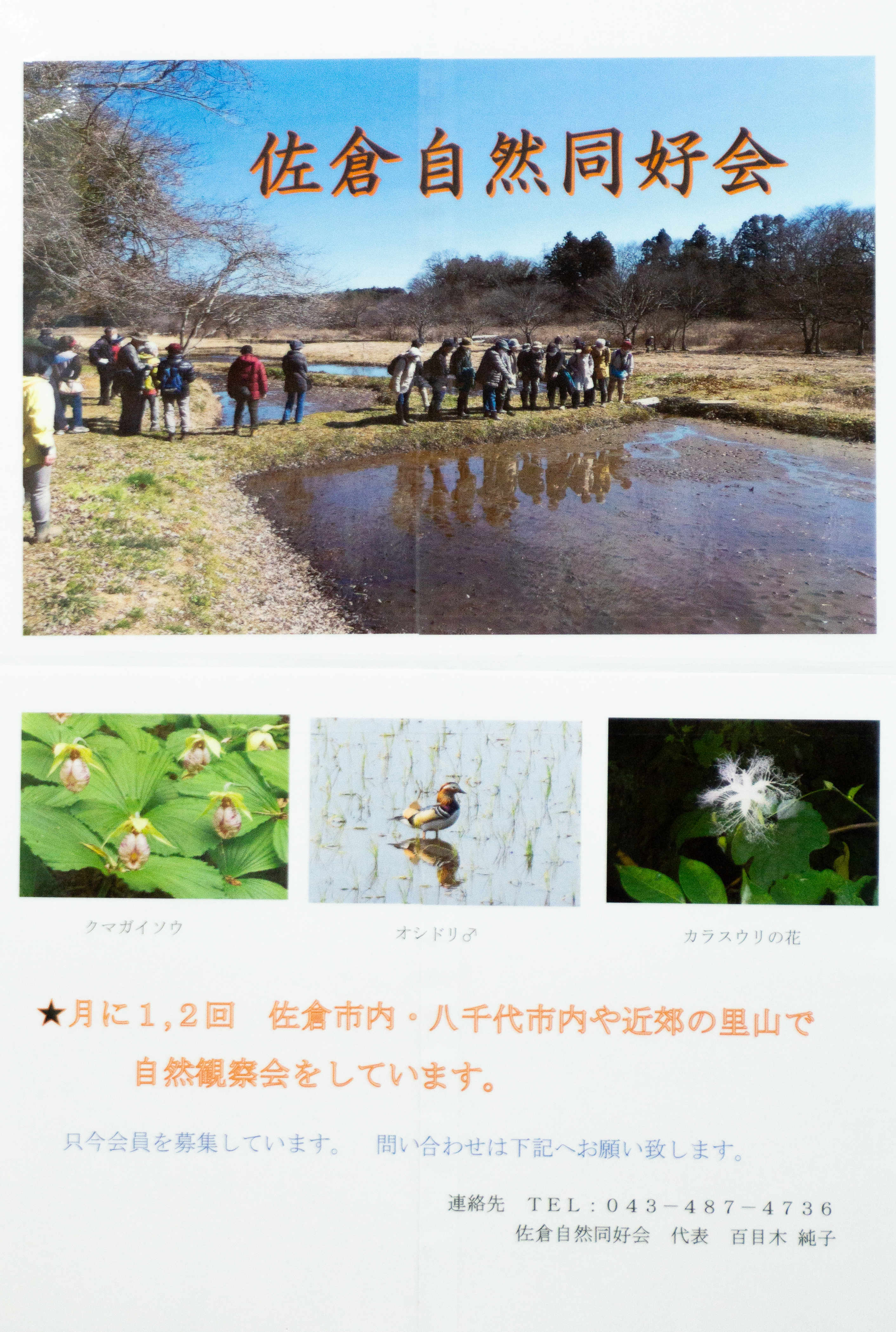 33環境佐倉自然同好会