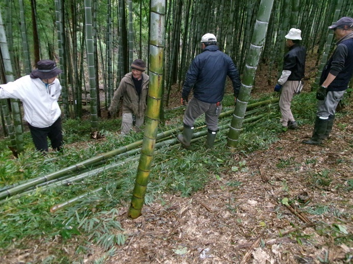 20241121竹林整備活動 (1)